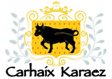 Site officiel de la ville de Carhaix
